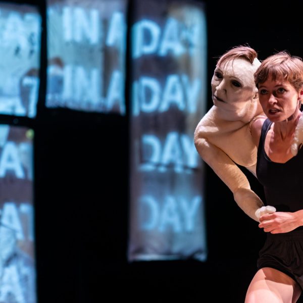 Foto: De Schaapjesfabriek