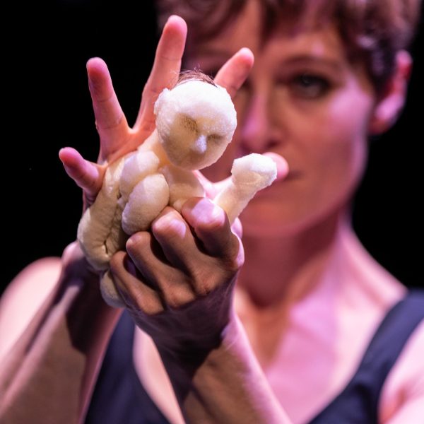 Foto: De Schaapjesfabriek