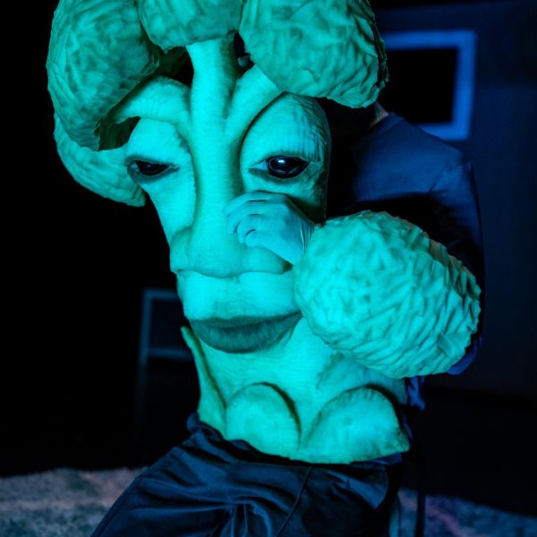 Grote mensen stuk_tryout_12-2024_De Schaapjesfabriek_LR1-40