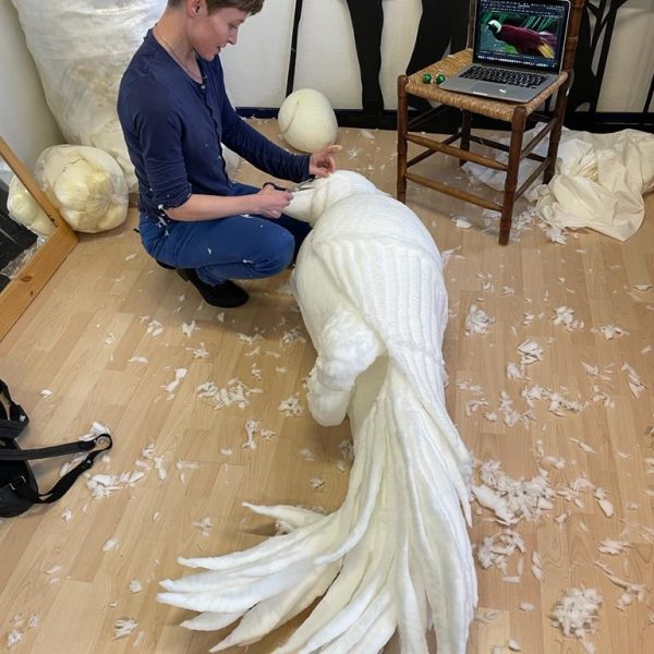 IMG_20221127_141926_392