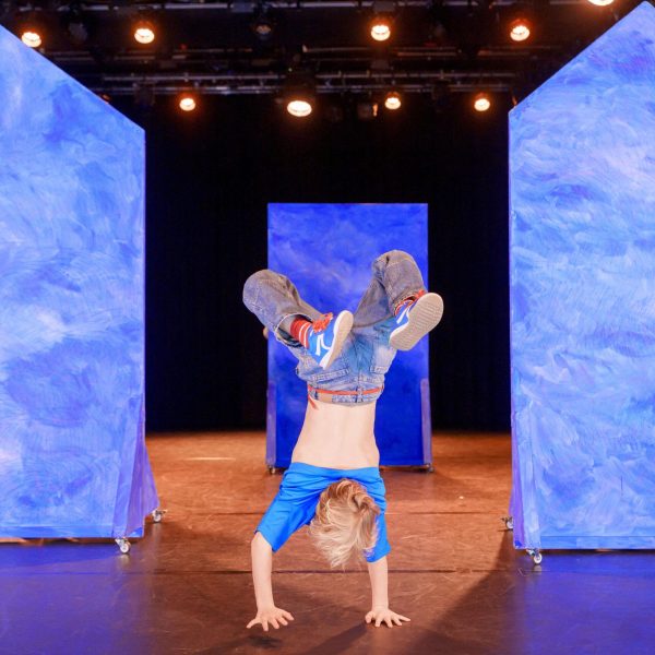 _dsc2594rabarber_54884606787_o