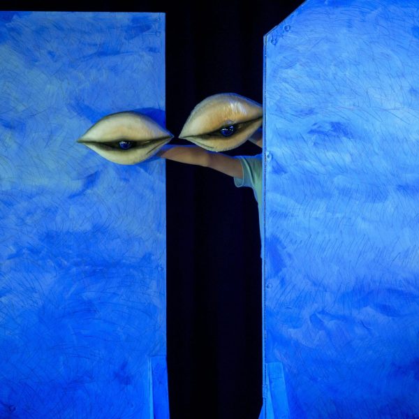 _dsc2631rabarber_54885702898_o